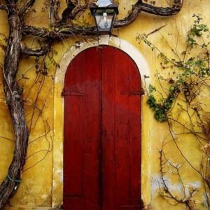 Meet your Posher, Martha